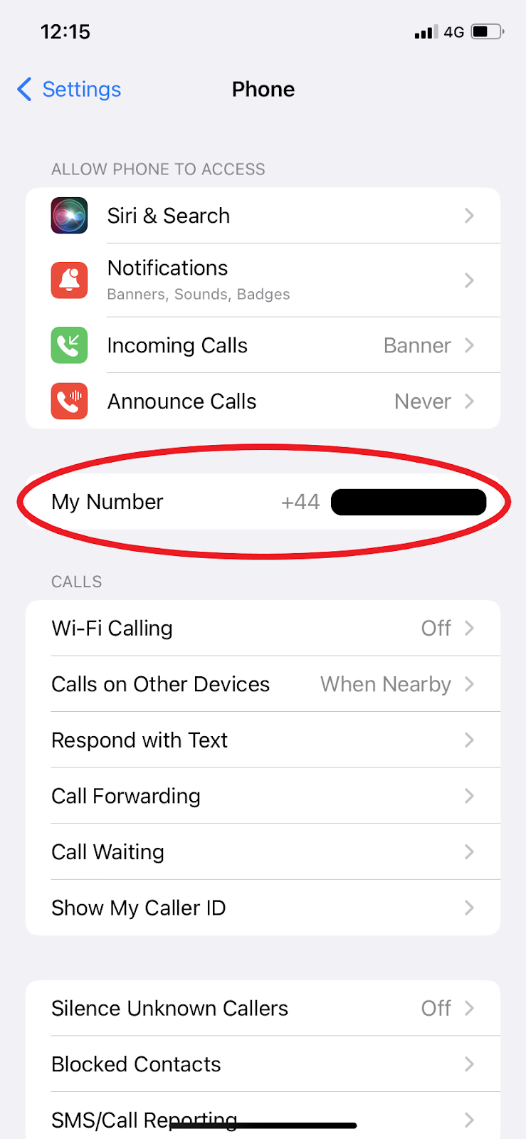 check my phone number on iphone setting