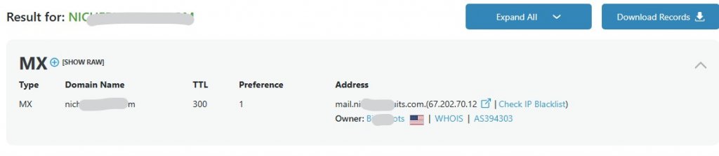 check email domain on dnschecker