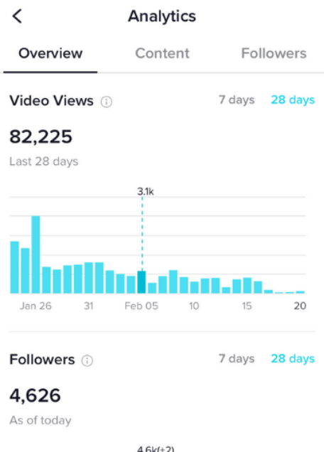 check tiktok analytics