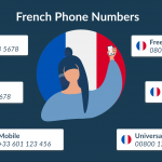 french phone number lookup