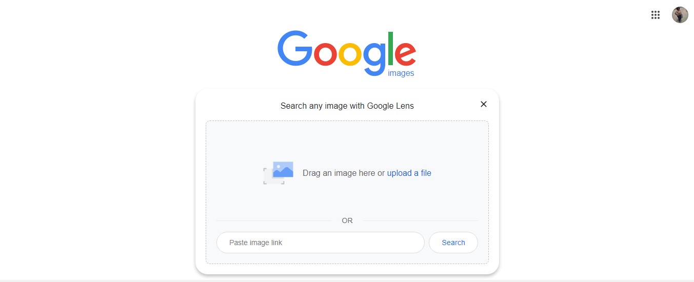 Google Image Search