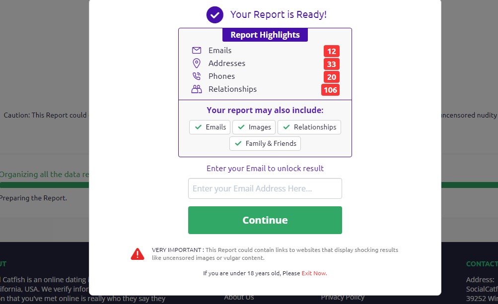 view report on Social Catfish