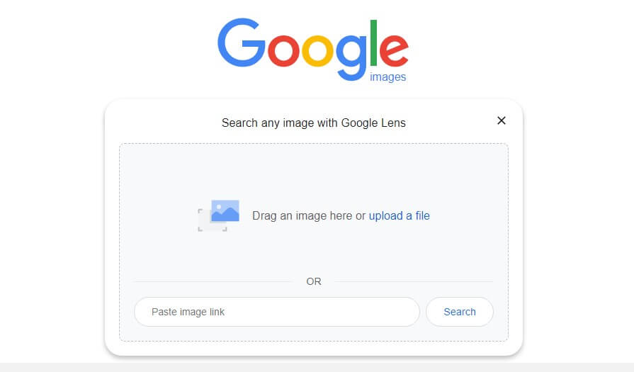 search image on google