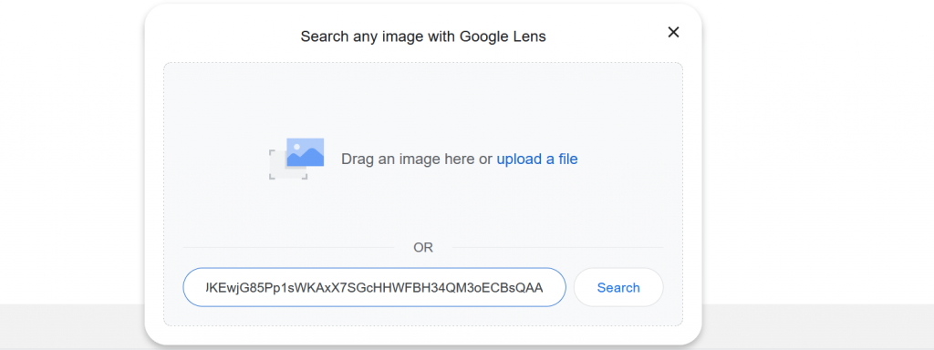 search images on google