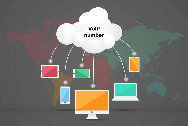 voip numarası